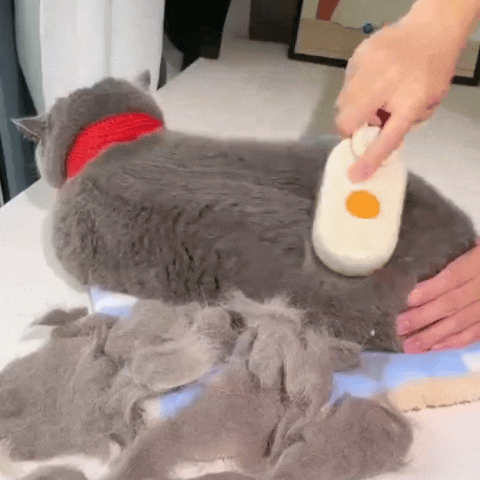 Afero zikoo™ GlideGroom Steam Brush